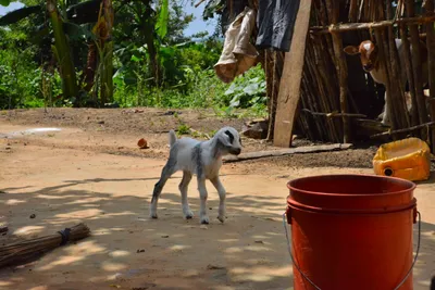 DSC_4918 (Large).JPG